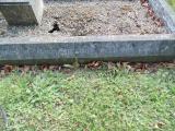 image of grave number 583241